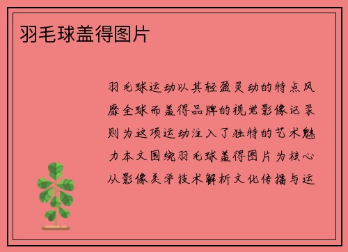 羽毛球盖得图片