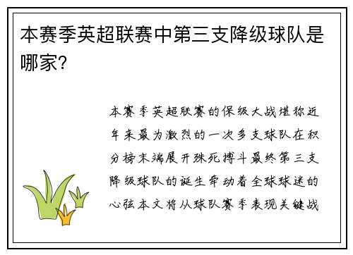 本赛季英超联赛中第三支降级球队是哪家？